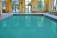 Embassy Suites by Hilton Montgomery Hotel & Conference Center - Pools