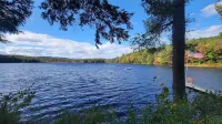 Vasha is a cozy pet-friendly lake house for relaxing in a secluded location.