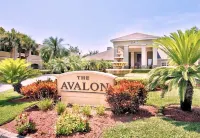 Beautiful Condo near Clearwater beach - resort style amenities - Palm Grove Hotels in Pinellas County