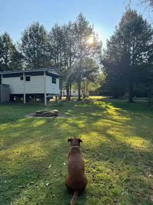 Private & Cozy! Close to the Clarion River & State Parks!- Camp Harv Est.1994