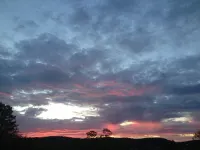 Secluded Cabin Nestled In The Trees Overlooking Fishing & Canoe Pond