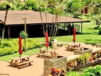 It's All about the View! Oceanfront, A/C, Elevator Hotels in Kapaa