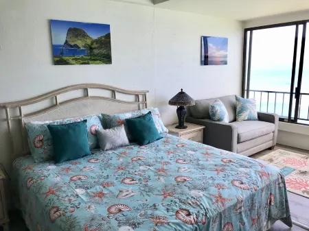 Relaxing oceanfront studio on the beach