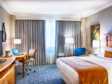 Hilton Ocala Hotels in Ocala