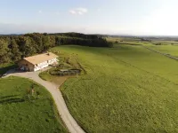 Hof Kaltenbrunn - modern apartments in the countryside 아잉 호텔