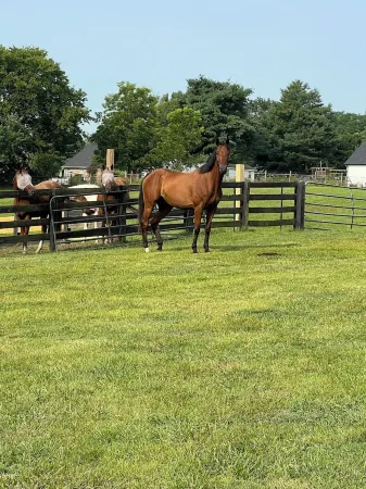 Beautiful, Relaxing Farm Retreat with amazing grounds