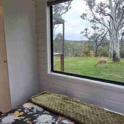 Tiny House/Retreat in Adelaide Hills. Secluded, peaceful, country views. Rooms