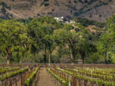 Romantic cottage with gorgeous Vineyard and Mountain Views. Hotels in Yountville