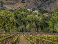 Romantic cottage with gorgeous Vineyard and Mountain Views.