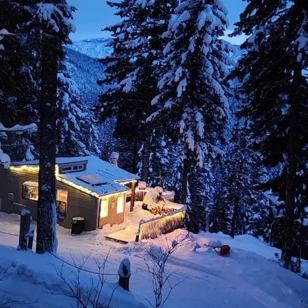 "Eagles Nest Cabin" REMOTE ESCAPE AWAY FROM EVERYTHING!