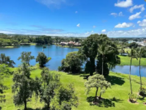 Best View in Hilo - Pool, WIFI, 2 BD Condo