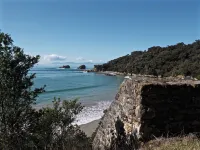 Shearwater : Wilson's Prom Views : 4 Bedrooms : Full Linen : Starlink