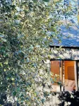 Narnia - a picture-perfect private woodland escape