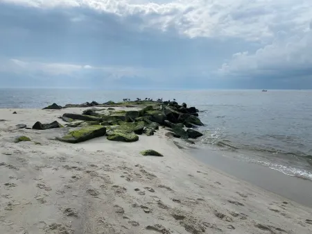 Walk to the beach from this cozy birder cottage! 3beds, 2ba Отели рядом с достопримечательностью «Cape May Lighthouse»
