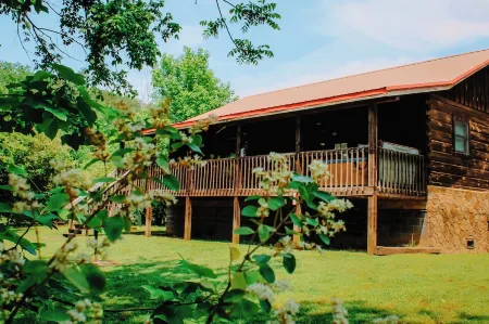 'Sweet Life'  *Log Cabin on Cosby Creek with Wifi No contact check in