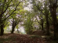 Ideal guesthouse for families and nature lovers Hotels in Montalto Uffugo
