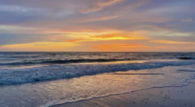 Private Executive Home/Resort Tropical Plant/Luxury/BeachView/ Pool/Spa.Elevator