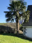 L'Estatjot