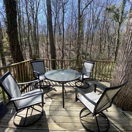 Cozy historic cottage in the woods. 10 minute walk to town