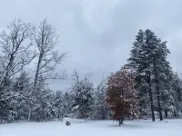 A-Frame near Ausable River, also a great place for hunting and golf trips
