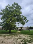 Villa Ausone, Maison Spacieuse Entièrement Rénovée Lumineuse Avec Beaux Volumes