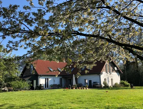 Elegantes Wohnen im Hofgut Angerland