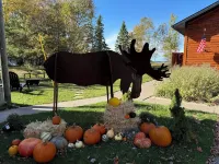 Rustic Moose Lakefront Guest Cabin on the Shore of Lake Superior
