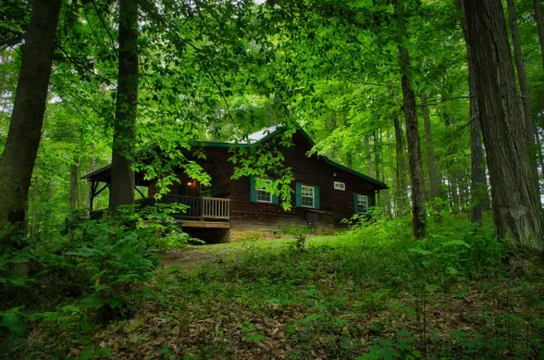 Cozy Cabin Among the Trees - Rustic Charm, Modern Comforts,  26 Secluded Acres