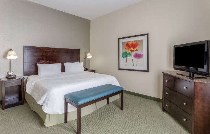 Hampton Inn Richmond-South