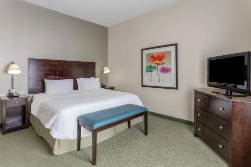 Hampton Inn Richmond-South Hotels in Bellwood