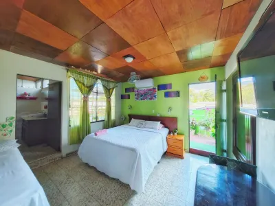Hotel Oasis Hotels in 