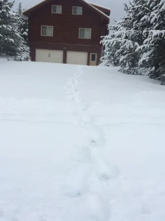 Sleeps 26! 7 Queen, 6 Full bunk-beds, 3 br and loft (rates based on occupancy)