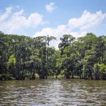 River Front Property on the Amite River