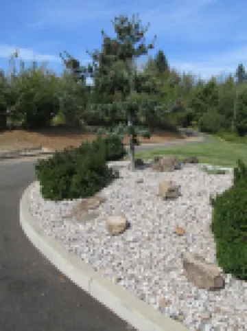 Bird Lover’s Paradise