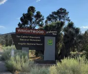 The Cozy 2 bedroom Pineland Chalet Hotels in Wrightwood