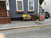 Dog Daze One- South End NBT