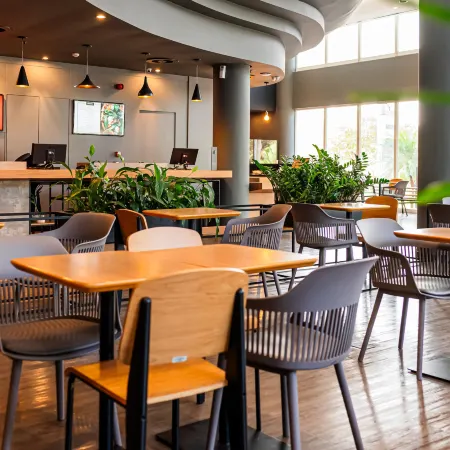 Ibis Santo Andre