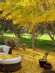 Hidden Gem on the 15th Hole PVCC 3-bedroom house in Pauma Valley with WiFi
