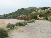 Badgers nestled in a cozy corner of the park