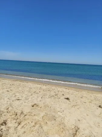 Beautiful Contemporary Home, Edgartown Morning Glory Farm Отели в г. Эдгартаун