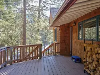 Light filled 3-bedroom cabin with a stone fireplace in magical Idyllwild, CA