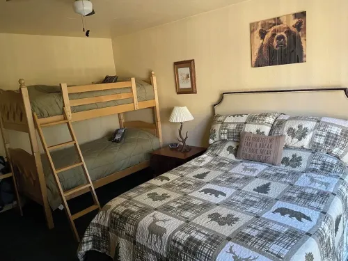 Family/Pet Friendly - Hot Tub - TESLA Charger