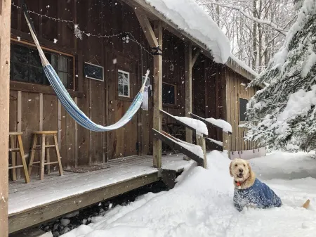 Cottage-7 Min to Ski Stratton-Woodstove-Firepit-Brook on Property-Views-Dogs OK