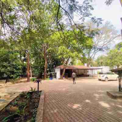 Olivia Guesthouse Hotel Exterior