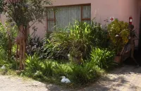 Liya Guest Lodge Hotels in Kasane