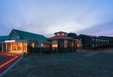 Hotel Bliss Villa Hasami Отели в г. уезд Хигасисоноги