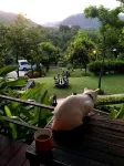 Baan Phuchalianglom Hotels in Suan Phueng