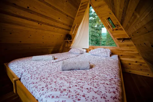 Glamping Forest Edge - Wifi