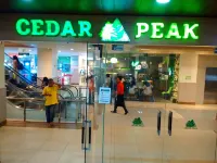 Cedar Peak Condominium by Tripsters Hub