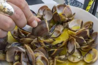 D08 - Bay View Villa in Vale da Lama Hotels in Odiaxere